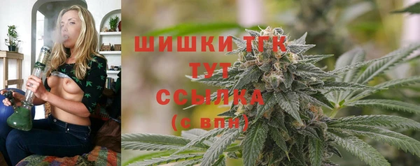 ECSTASY Ижевск